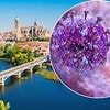 Virus which 'causes multiple organ failure' found at popular Spanish holiday destination