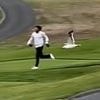 Moment divebombing seagull snatches golfer's wallet before swooping off with it