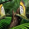‘Wonderreptiel’ Mirasaura met bijzondere kam op zijn rug werpt nieuw licht op evolutie