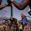 Mercury fuels gold mining in Senegal, it’s poisoning the people who use it