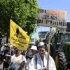 Toujours décriée, la loi agricole Duplomb a été définitivement adoptée par les députés