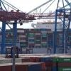 Handel: Exportverband sieht Zolldeal als schmerzhaften Kompromiss