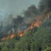 Ruim 1.200 brandweerlieden ingezet voor snel groeiende bosbrand Zuid-Frankrijk