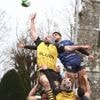 Rugby. Fédérale 2 : Le Rheu et Saint-Malo qualifiés en phase finale, que peuvent-ils espérer ?