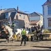 ME grijpt in bij rellen rond pro-Israëlische viering in Katwijk, noodbevel van kracht