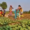 In India, Indigenous women and their 'dream maps' seek to protect lands from climate change