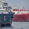 Energie: EU importiert russisches LNG im Wert von 4,5 Milliarden Euro
