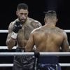 Boxe. Tony Yoka « libéré » avant son combat samedi contre le russe Yallyev