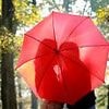 Beware the CHEATWAVE! Sunny weather triggers a massive spike in cheating - as 'sundrunk' Brits lose their inhibitions, experts warn