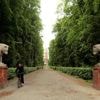 Er gab seinem Hund Kommandos auf Ukrainisch: 51-Jähriger in Berliner Volkspark Jungfernheide niedergestochen