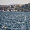 Russische zwemmer Nikolai Svechnikov vermist geraakt tijdens Bosporus-race