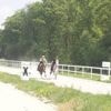 Équitation. Internationaux d’endurance équestre à Landivisiau : Arthur Desprez s’impose au sprint