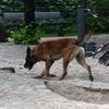 Auf Spielplatz in Niedersachsen: Kleinkind schluckt Drogen – schwer verletzt