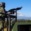 Mexique : 2,8 tonnes de cocaïne saisies lors de trois opérations
