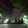 Lichter der Großstadt: Wo Pflanzen länger wachsen