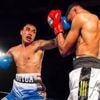 Boxe. Tautoua Dauphin reçu cinq sur cinq au Gala de Nantes Pleins Contacts