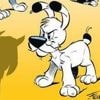Der beste Freund von Asterix und Obelix: Museum sucht Doppelgängerhund zum 60. Geburtstag von Idefix