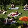 Zomers begin van een warme week, regen valt er komende tijd niet