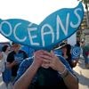 Eén derde van de haaien sterft uit en dat is maar één gevaar: Macron eist in Nice afspraken om oceanen te redden