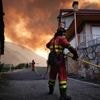 Deutsche im Einsatz: Deutsche Feuerwehrleute jetzt in Nordspanien im Einsatz
