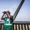 Deze toren behoedt de Kalmthoutse Heide voor brandgevaar: ‘Bij code oranje was een familie doodleuk aan het barbecueën’