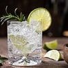 Climate change is coming for your G&T! Global warming could change the taste of gin, scientists warn