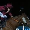 Robin Goodfellow's racing tips: Best bets for Monday, May 19