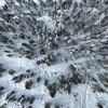 Nach Sturz von Klippe: Vermisste Wanderin überlebt wochenlang in eisiger Wildnis