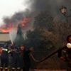 Greece battles wildfires, evacuating residents near Athens