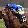 Robin Goodfellow's racing tips: Best bets for Monday, June 2