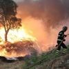 Face à des incendies plus fréquents, comment l’Europe se prépare pour éviter les méga feux
