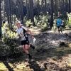 Le Club d’orientation lorientais brille au championnat de France