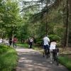 De eigen wetten van park De Hoge Veluwe, een omheind ‘Gelders dwergstaatje’