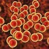Alert over flu-like disease that kills in ONE DAY landing on UK shores...get jabbed, experts urge