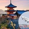 Major airline offering tourists FREE flights - but there's a catch