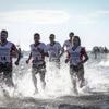 Running. « Comme si on montait la Tour Eiffel » : pourquoi les Foulées du Gois ont un succès fou