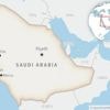 Executions in Saudi Arabia reach a record high mostly over drug cases, Amnesty says