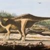 Fund auf der Isle of Wight: Dinosaurier mit Hautsegel entdeckt