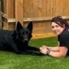 Retiring police dogs 'deserve to get pension'