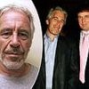 Team Trump's Epstein story stinks. The facts don't stack up - from the video detail to Pam Bondi's slip. It's no surprise so many believe there's an elite cover-up: FREDDY GRAY
