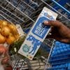 Waarom mengt Albert Heijn melk met veldboneneiwit? ‘Je moet ergens beginnen’