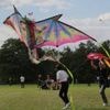 Drachenfest in Potsdam: Buntes Spektakel im Volkspark