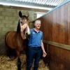 Le Normandie Horse Show, un rendez-vous incontournable pour ces éleveurs de chevaux de père en fils