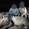 Legendary lion Blondie that was studied by Oxford University experts is shot dead by trophy hunters in Zimbabwe