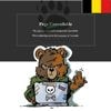 Pro-Russische hackersgroep is actiever dan ooit, ook in België