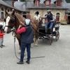 Une journée autour des sports de nature et para-équestre au haras d’Hennebont
