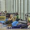 A warning to Britain: Brought to its knees by a crackpot, Net Zero-obsessed socialist government, dystopian Spain offers a chilling vision of our possible future