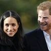 Prince Harry's sweet tribute to Meghan Markle on his 'pseudo royal' tour