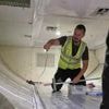Snake on a plane delays a flight in Australia