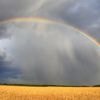 Platform Engineering: Vom Regenbogenteam zur reiferen Plattform
